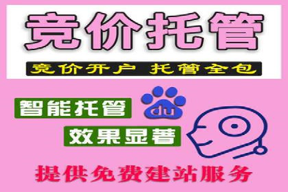 百度竞价行业应用案例：解析及实战操作
